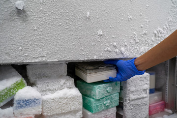 The researcher opens the storage box that keeps the sample in -80C refrigerator. To finds samples of protein used for the further experiment for biochemical laboratory.