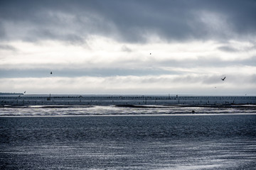 Obraz premium Stormy landscape coast of the Northwest Pacific Ocean with the remains of an old marina and flying albatrosses