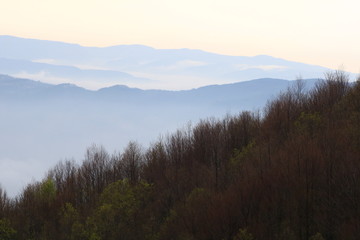 Fototapeta na wymiar foggy morning in the mountains
