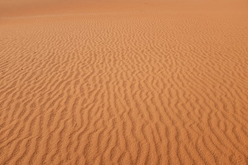 Desert sand ripples in Riyadh, Saudi Arabia. Patterns in nature