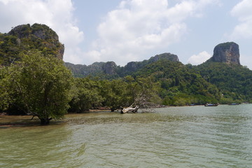 Mangrovenküste in Thailand bei Krabi