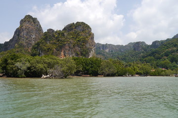 Fototapeta na wymiar Mangrovenküste mit Felsen in Thailand Krabi