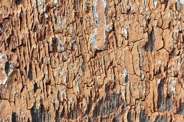A picture of the old gray wood background, texture, rotten, gnarled wood.