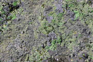 design dirty mossy stone texture - beautiful abstract photo background