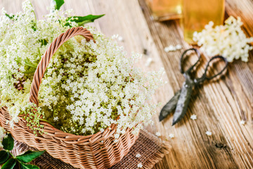 Fototapeta na wymiar Elder flowers in basket and syrup on wooden table with rustic scissors..Herbs blossom for healthy life.