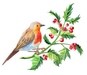 Watercolor Robin bird.Watercolour Merry Christmas card.New Year illustration.