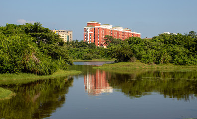 Landscape view of the estuary in the middle of the city, Chennai, India