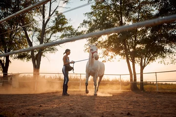 Foto op Canvas Young woman training her horse © luckybusiness