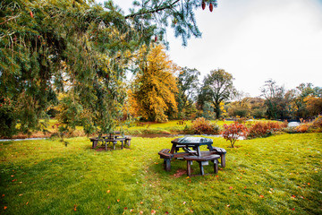 autumn park  near Blarney, Cork, Ireland