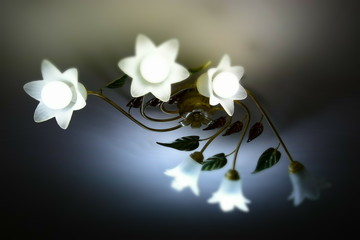 bellissimo lampadario a forma di fiori