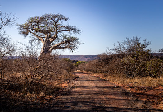 Landscapes of the Kruger National Park South Africa 
