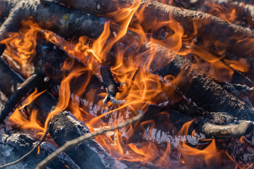 fire close-up, bonfire