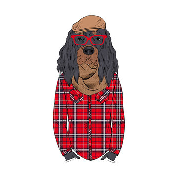 Humanized Gordon Setter breed dog dressed up in hipster city outfits. Design for dogs lovers. Fashion anthropomorphic doggy illustration. Animal wear plaid shirt, glasses, hat, scarf. Hand drawn