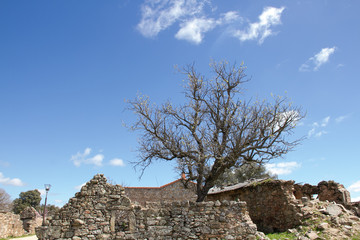 Casa derruida con un árbol seco dentro 