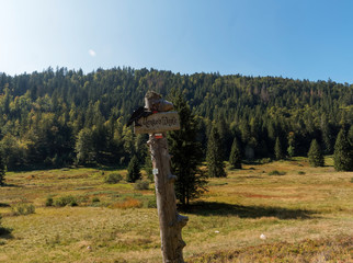 Landscape of Black Forest. Beautiful panorama in the valley of Menzenschwander Alb, along the hiking path Menzo's Wegle'