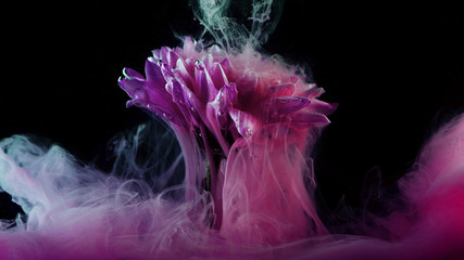 Flower under water and Splashes of colored ink, bright colors