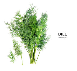 Creative layout made of dill on the white background. Flat lay. Food concept. Macro concept.