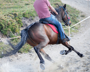 Obraz premium Equestrian Facility. Professional Female Rider on His Horse.