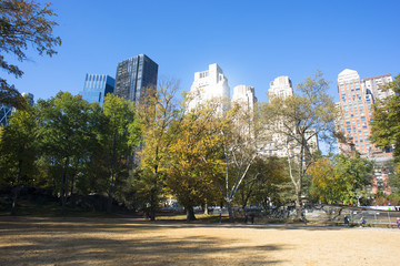 Central Park New York city autumn colors scene