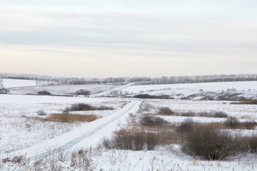 winter landscape with road