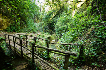 Valley of the Alento River in Serramonacesca (Italy): wooden bridge over the river in a lush forest