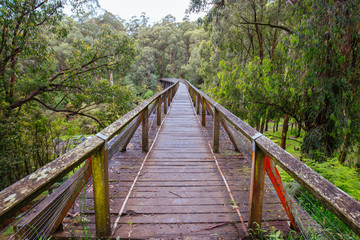 Fototapeta na wymiar Noojee Trestle Rail Bridge in Victoria Australia