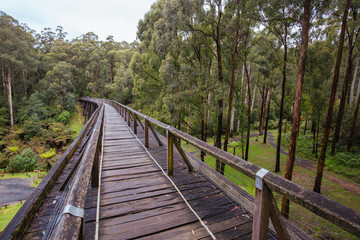 Fototapeta na wymiar Noojee Trestle Rail Bridge in Victoria Australia