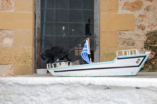 Black Cat on Model Boat