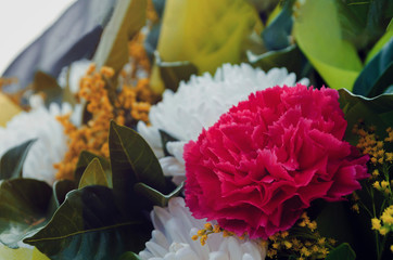 Spring mixed bouquet bunch of flowers, vintage style.