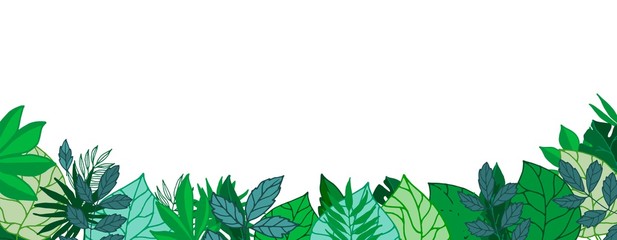 Green leaves gorizontal banner or poster with blanc space, vector illustration. Greenery foliage background with palm green leaves and trees.