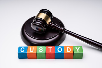 Colorful Cubes With Custody Text Near Gavel On White Background