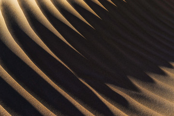 Sand pattern in the dunes at the Lagoon of Khenifiss (Lac Naila).