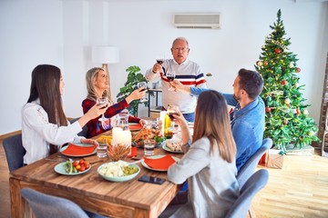 Beautiful family meeting smiling happy and confident. Eating roasted turkey and toasting with cuo of wine celebrating Christmas at home