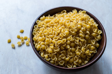 Italian Raw Pasta Shells Conchiglie / Conchiglioni in Wooden Bowl.