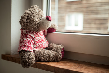Leaving concept: Teddy bear is looking out of the window