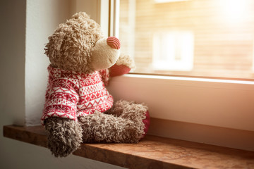 Leaving concept: Teddy bear is looking out of the window, sunlight