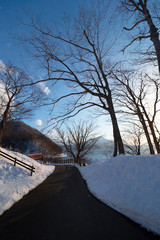 Walkway with scenic view in winter time with view of trees without leaves at Lake Shikotsu, Chitose, Hokkaido, Japan