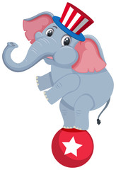 Single character of circus elephant on white background