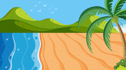 Nature scene with coconut tree on the beach