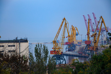 Fototapeta na wymiar Cranes in the seaport