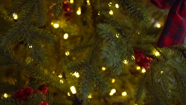 Closeup view of green branches of Christmas tree decorated with red ornaments and golden lights of led garlands.