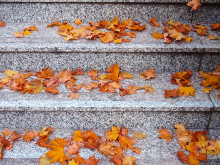Dry autumn leaves on stairs
