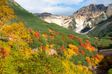 カラフルに色づいた秋の山