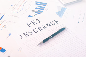pet insurance concept, documents on the desktop