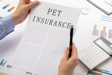 Obraz premium pet insurance concept, documents on the desktop