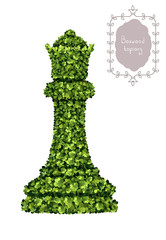 Queen, chess piece of boxwood topiary, garden plant, vector background. English boxwood, evergreen dwarf shrubs. Shrub for landscape.
