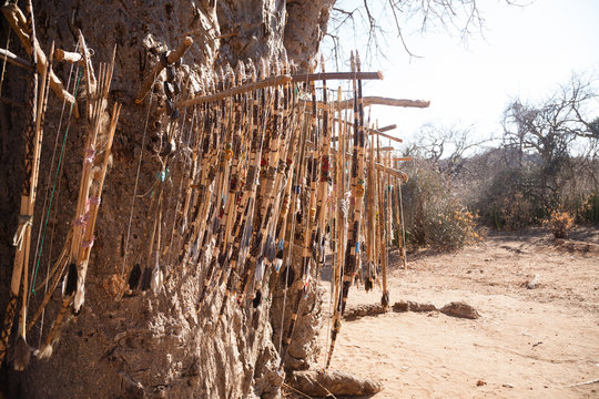 Handmade bows and arrows by Hazda population, Tanzania, Africa