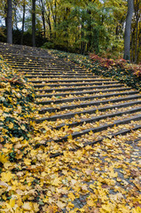 Stone staircase covered in leaves during autumn season in Lazienki park,