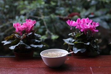 Breakfast boiled rice (Pork Porridge) with green nature in the restaurant.