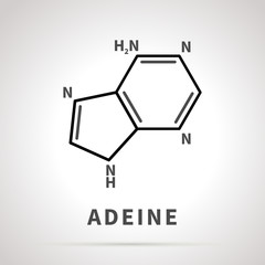 Chemical structure of Adeine, one of the four main nucleobases, simple black icon